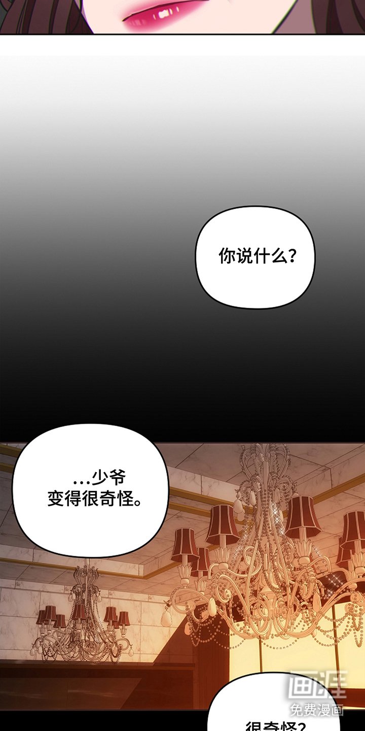 第16章：没有任何问题