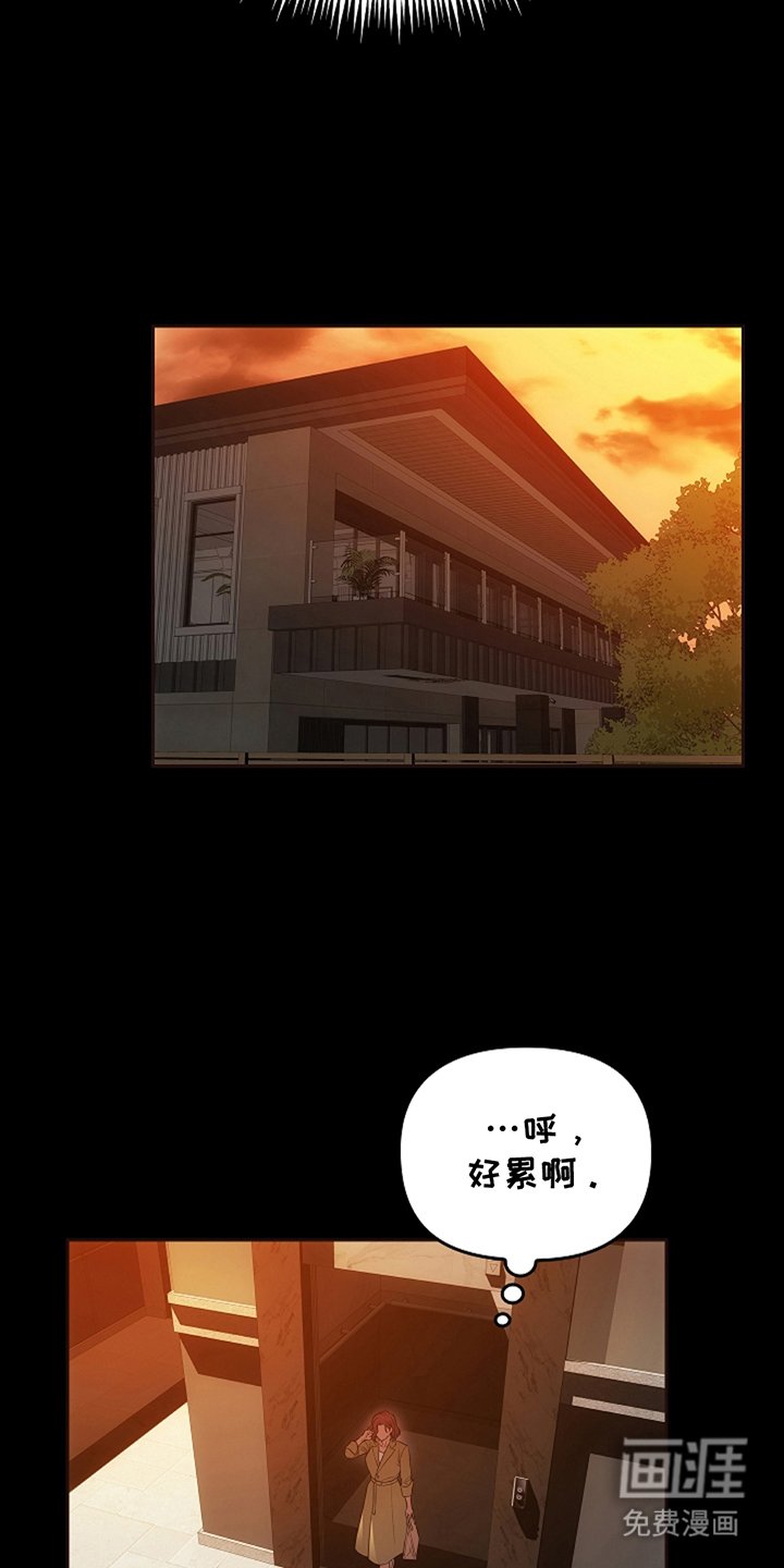 第16章：没有任何问题