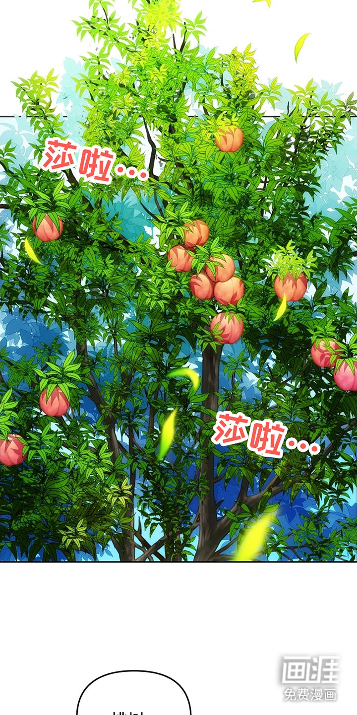 第5章：看见园丁
