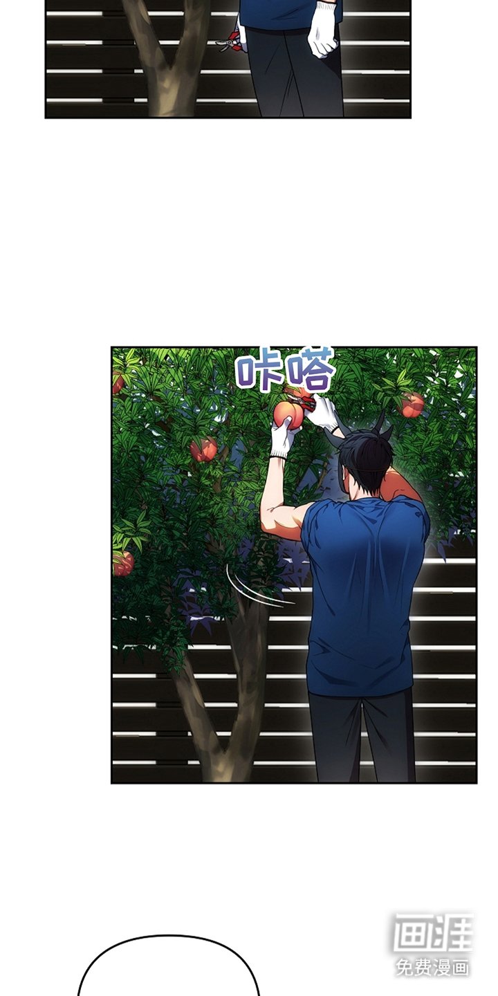 第5章：看见园丁