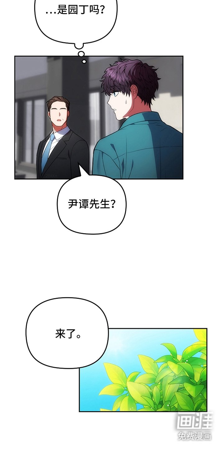 第5章：看见园丁