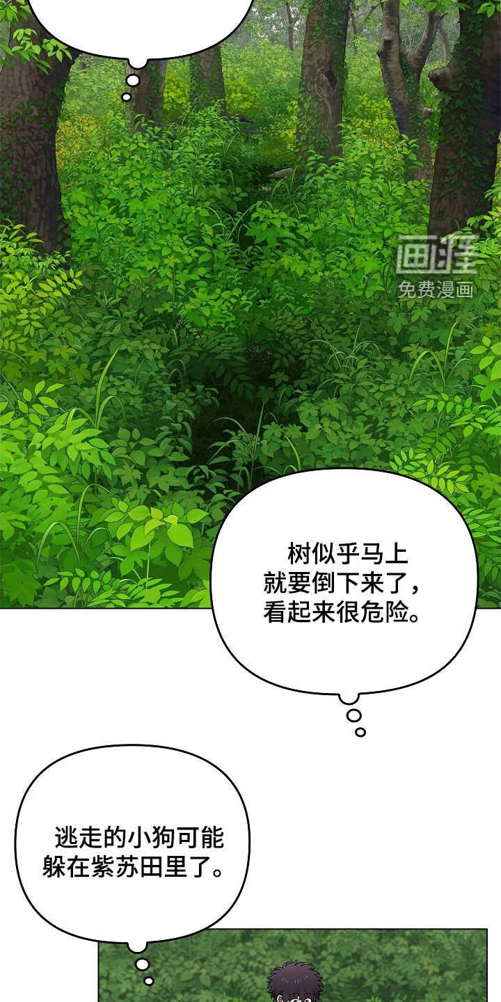 第64章：受伤的狐狸