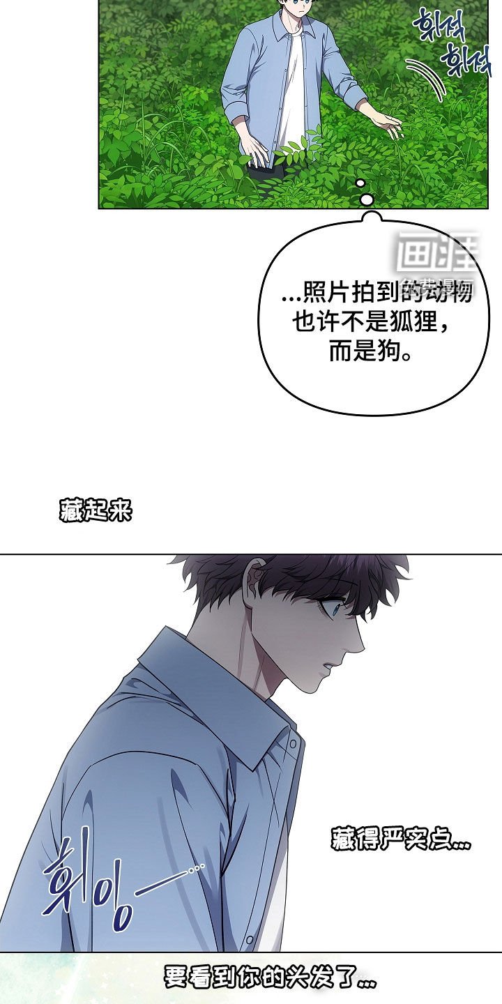 第64章：受伤的狐狸