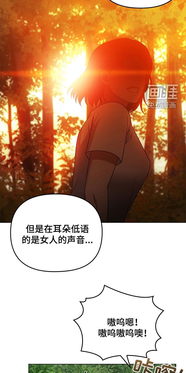 第64章：受伤的狐狸