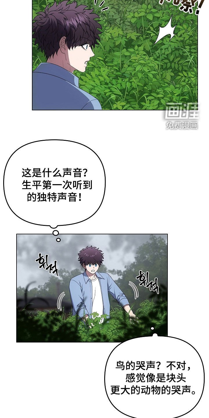 第64章：受伤的狐狸