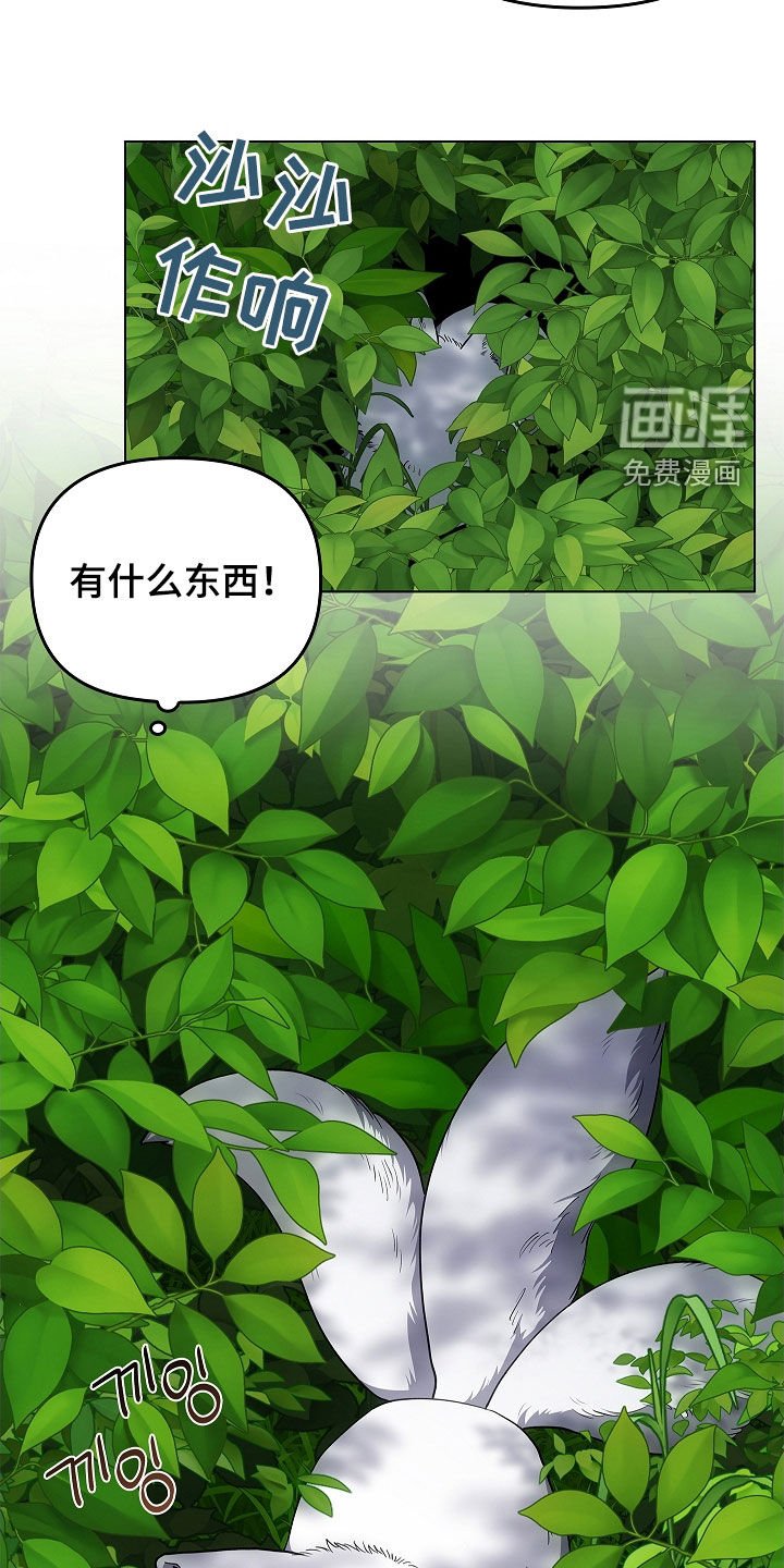 第64章：受伤的狐狸