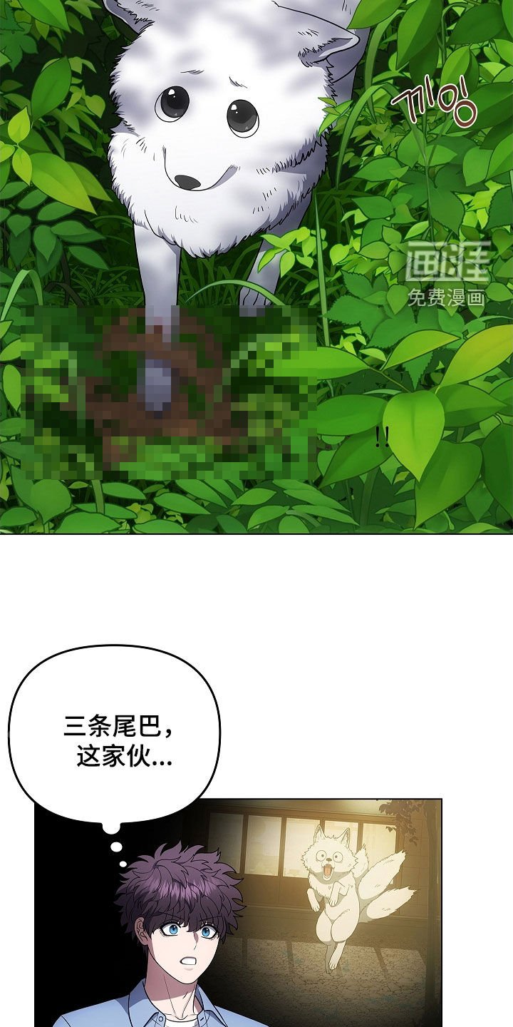 第64章：受伤的狐狸