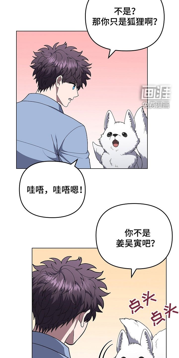 第64章：受伤的狐狸