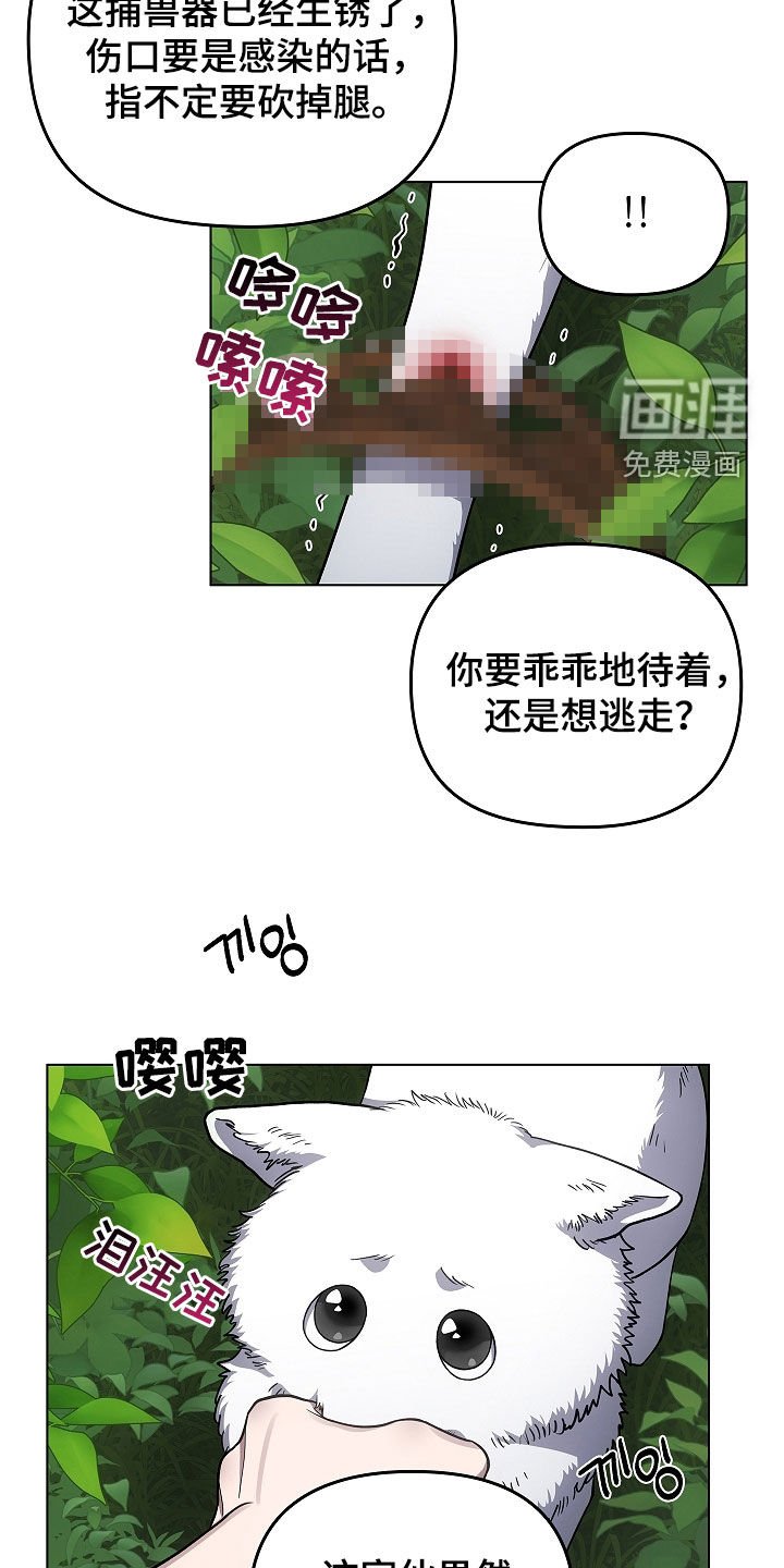 第64章：受伤的狐狸