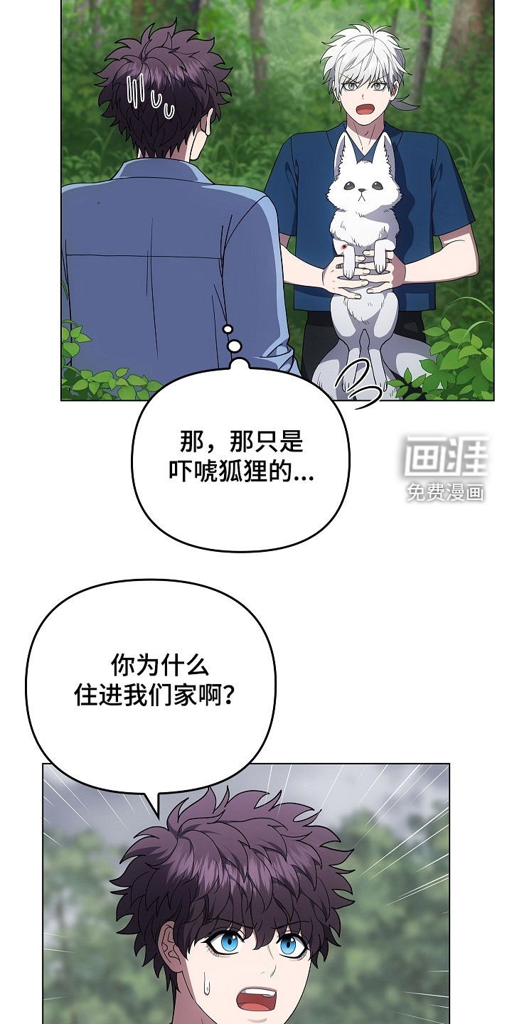 第64章：受伤的狐狸