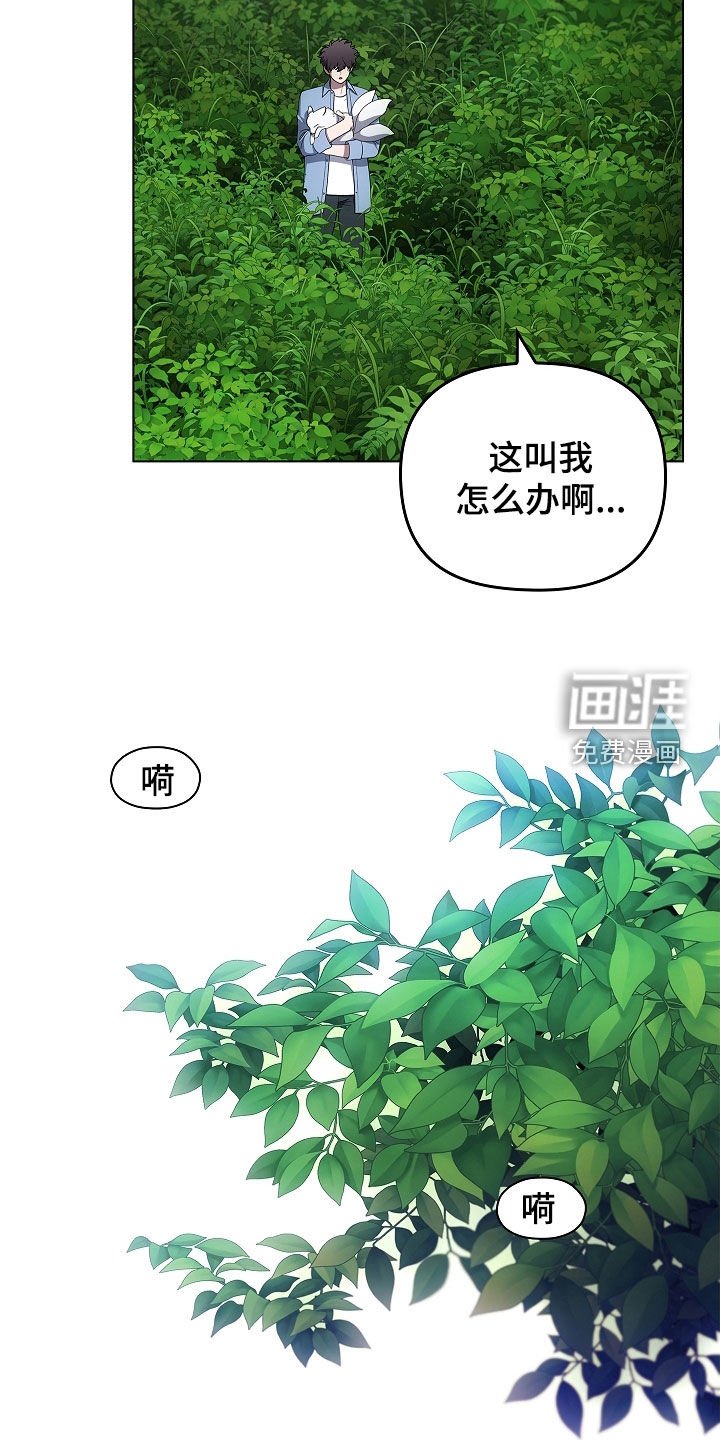 第65章：打赌