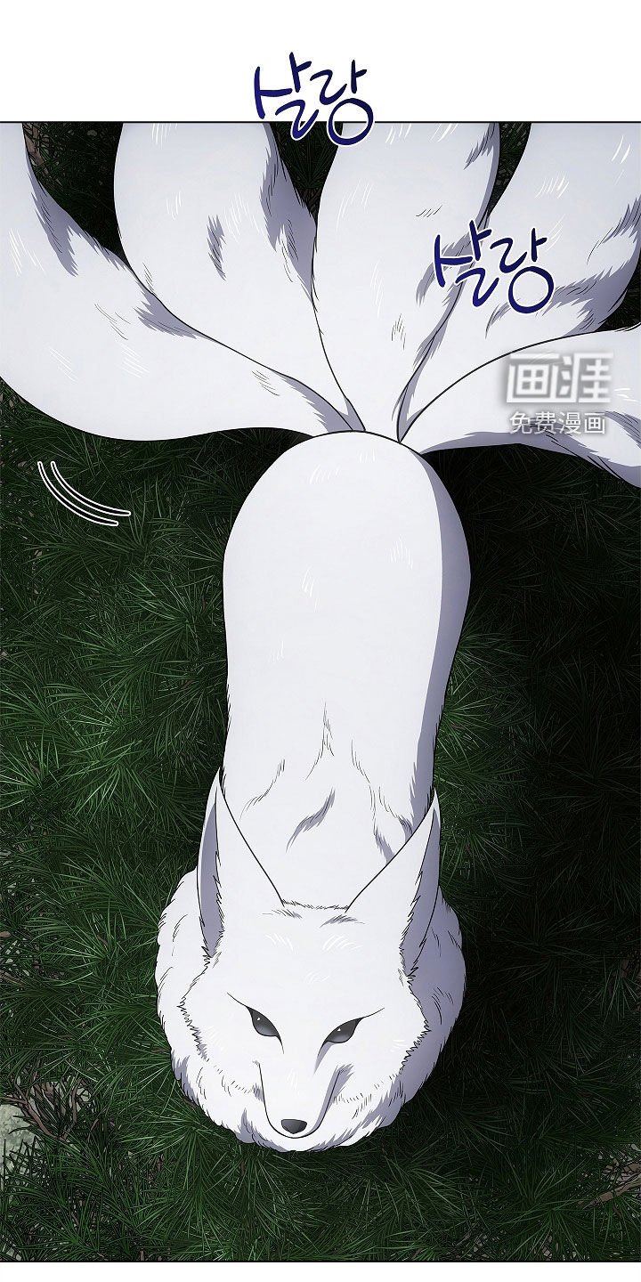 第65章：打赌