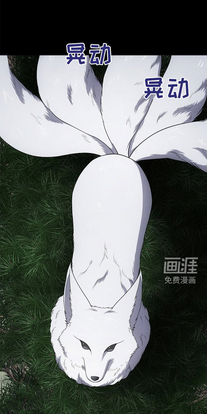 第66章：洞窟