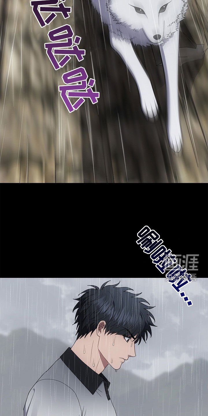 第66章：洞窟