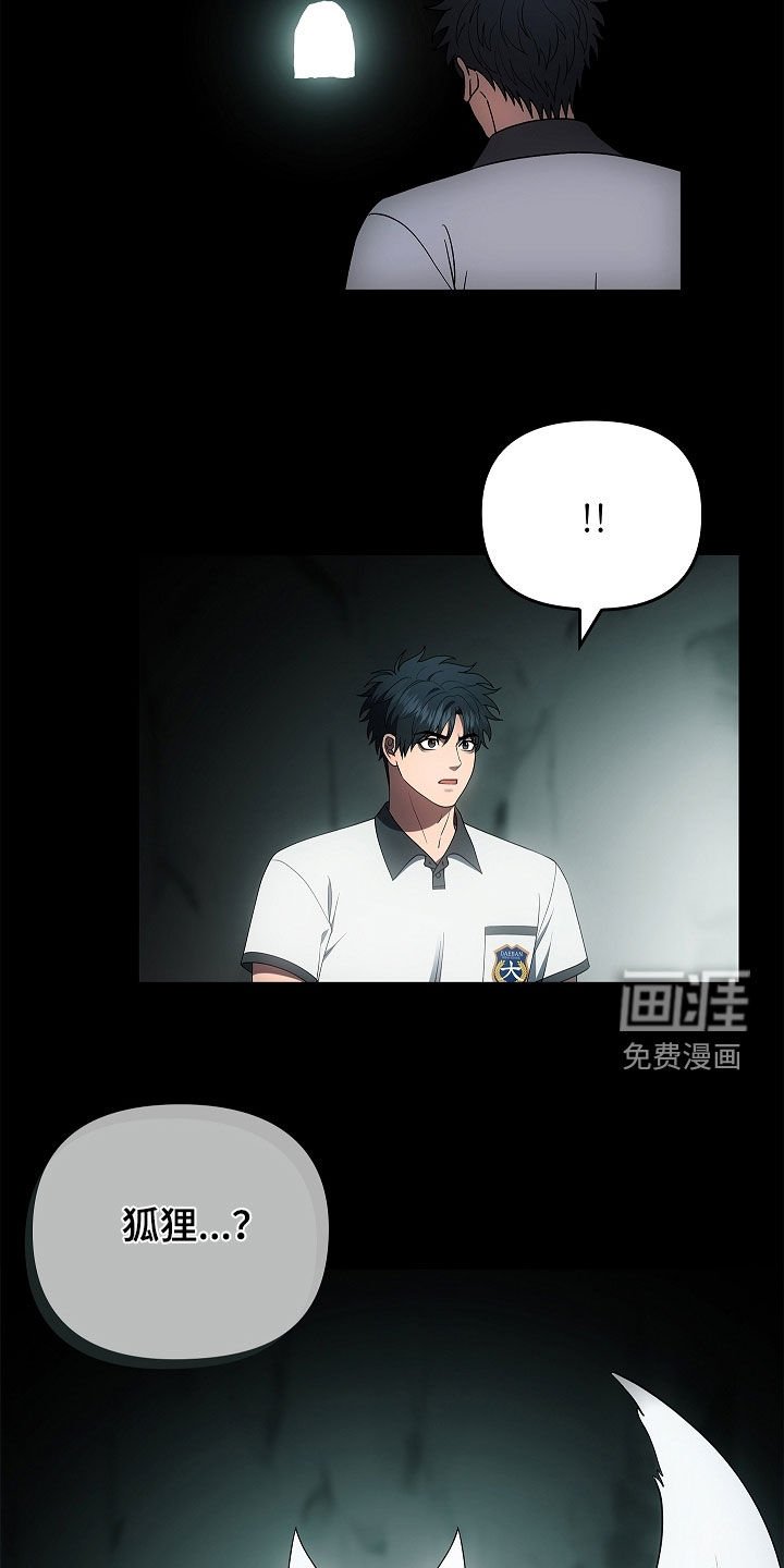 第66章：洞窟