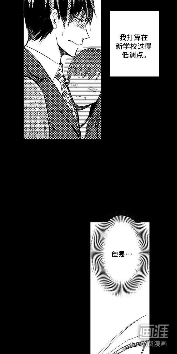 第20章：不需要化妆了