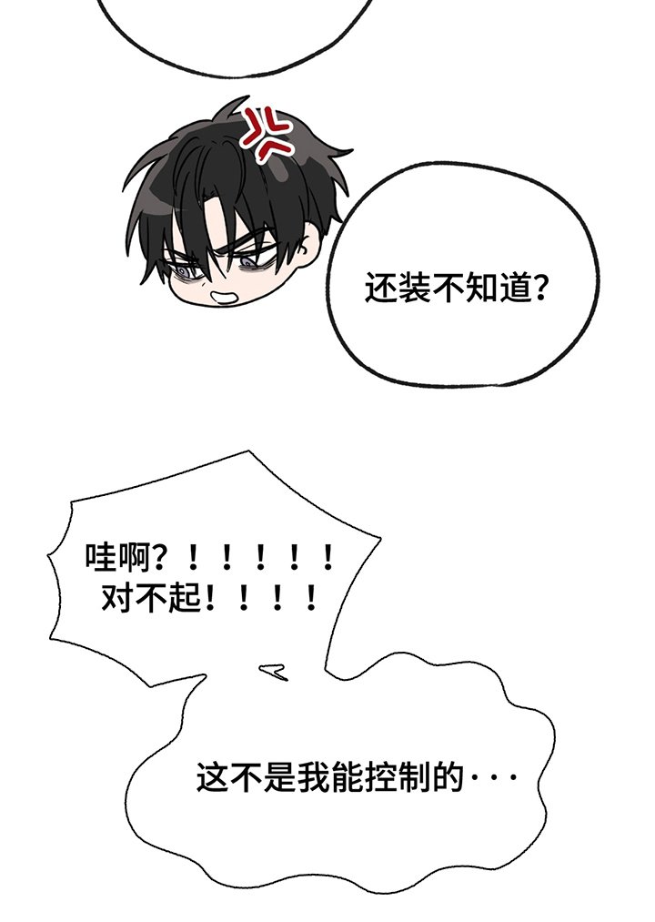 第3章：最大危机