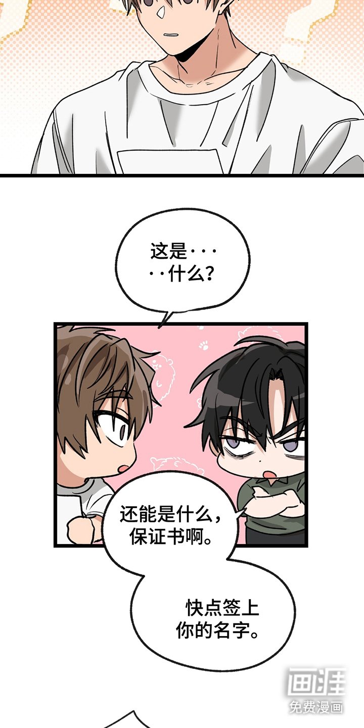 第4章：合同成立