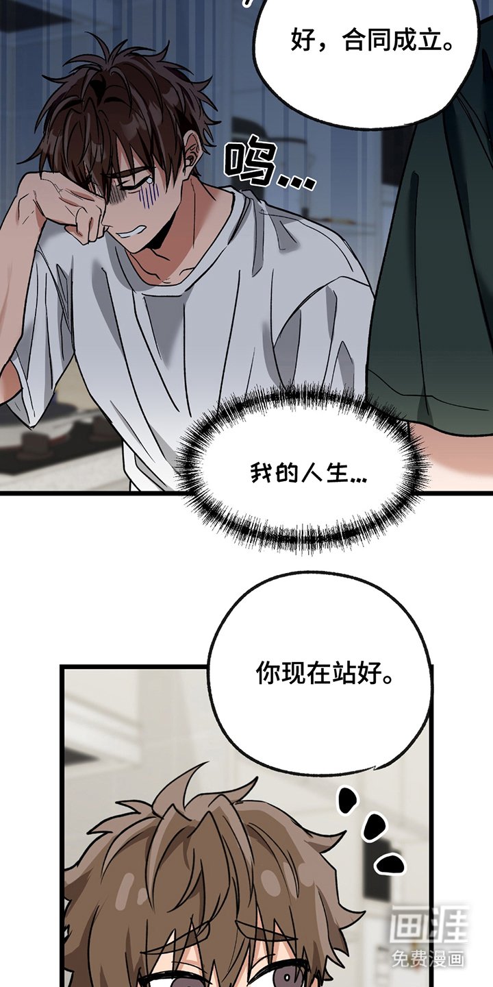 第4章：合同成立