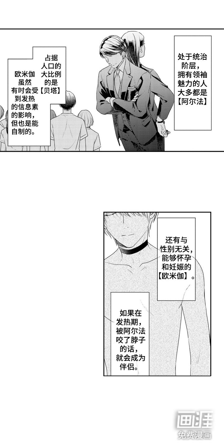 第1章：没有出现