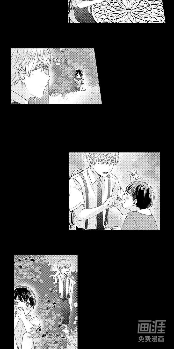 第11章：想起来