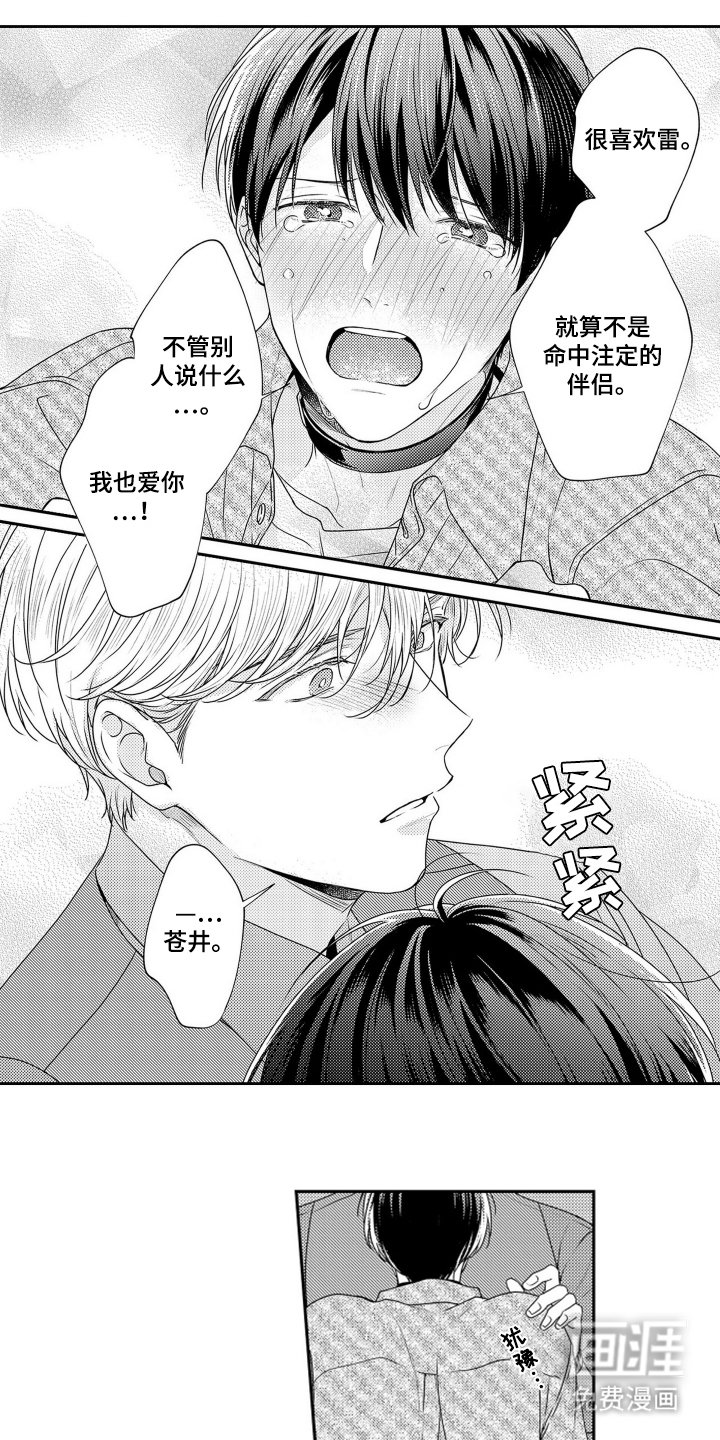 第14章：想成为伴侣