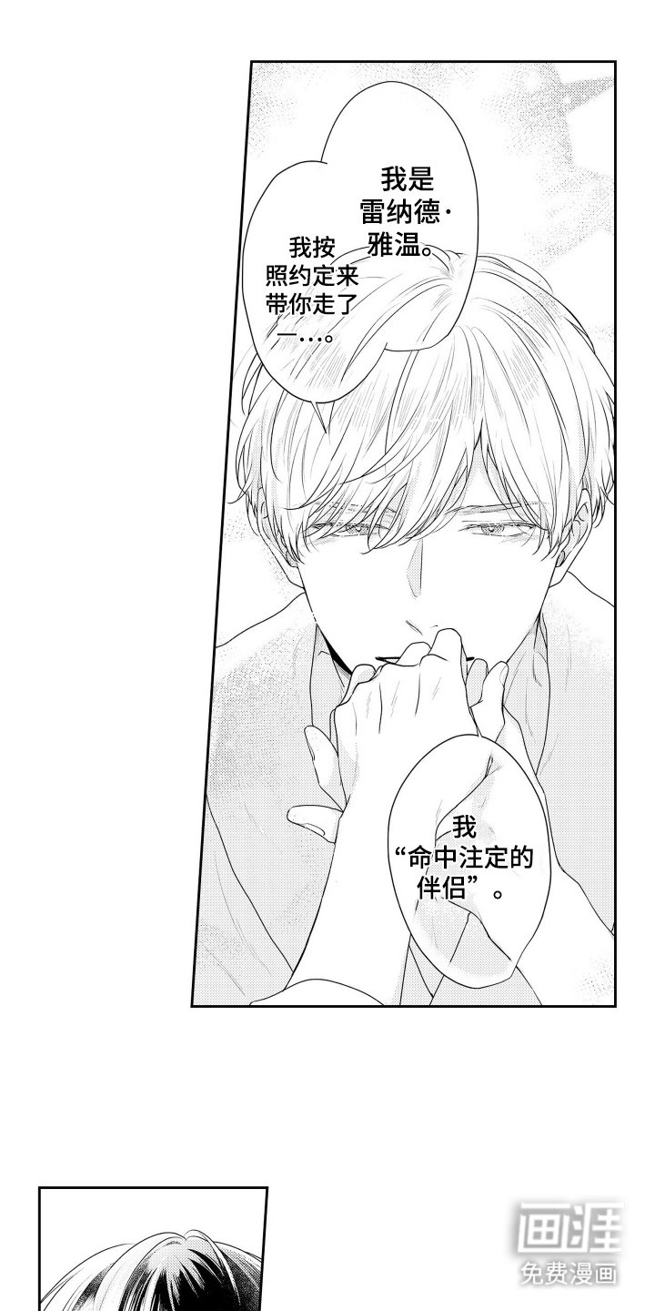 第3章：命中注定