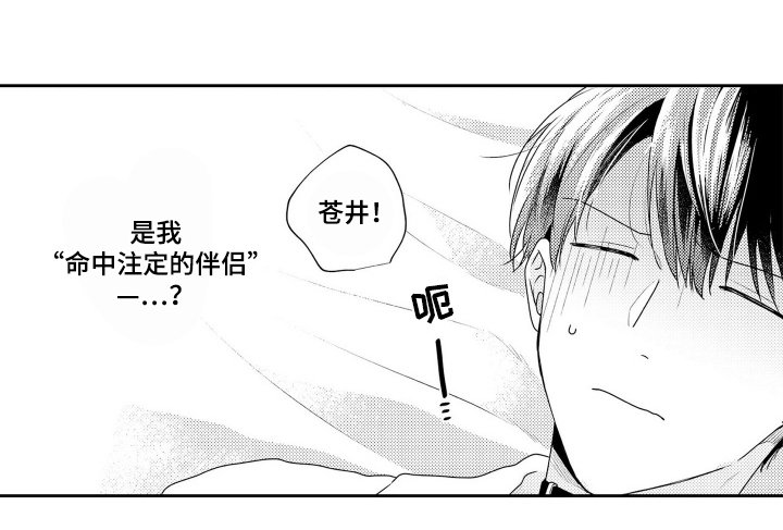 第3章：命中注定