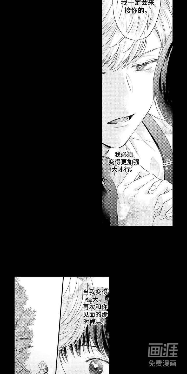 第4章：约定