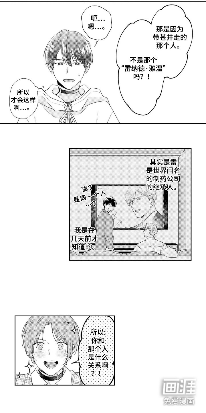 第6章：安定剂