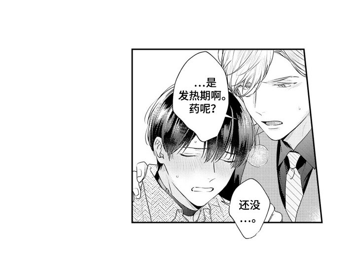 第6章：安定剂