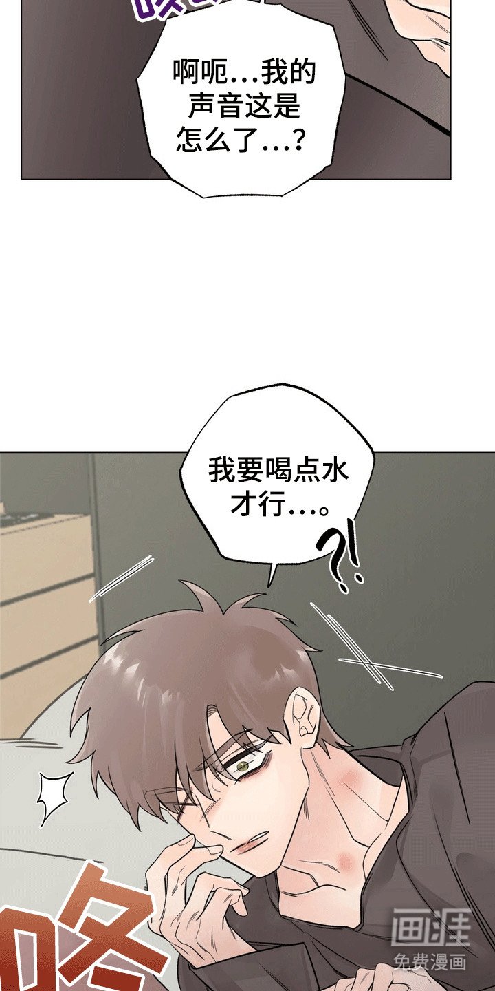 第5章：他打算怎么办