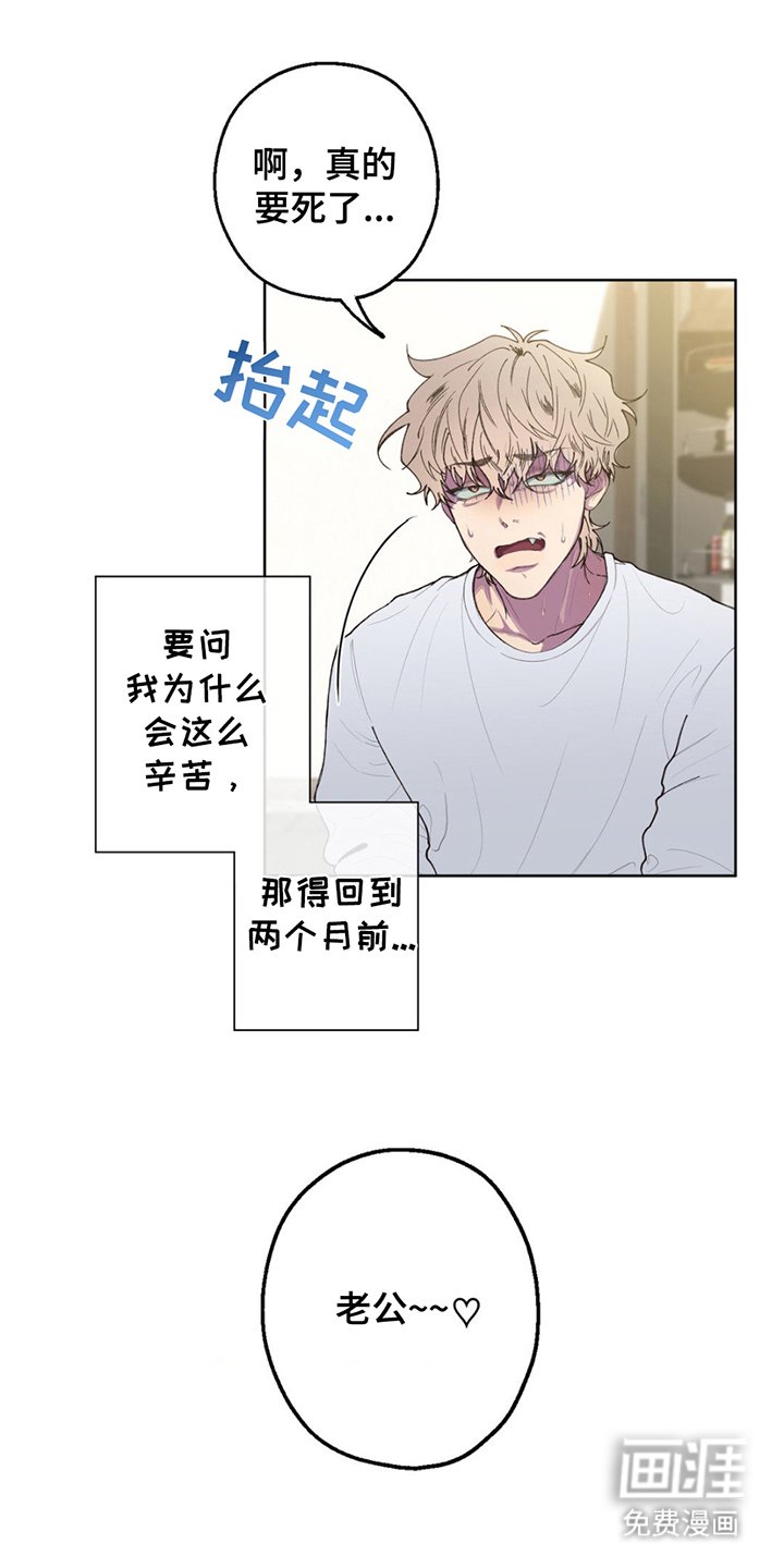 第1章：寄错