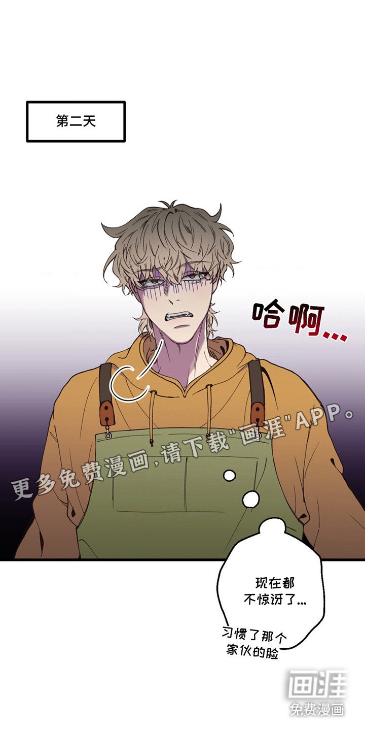 第12章：帮不上忙