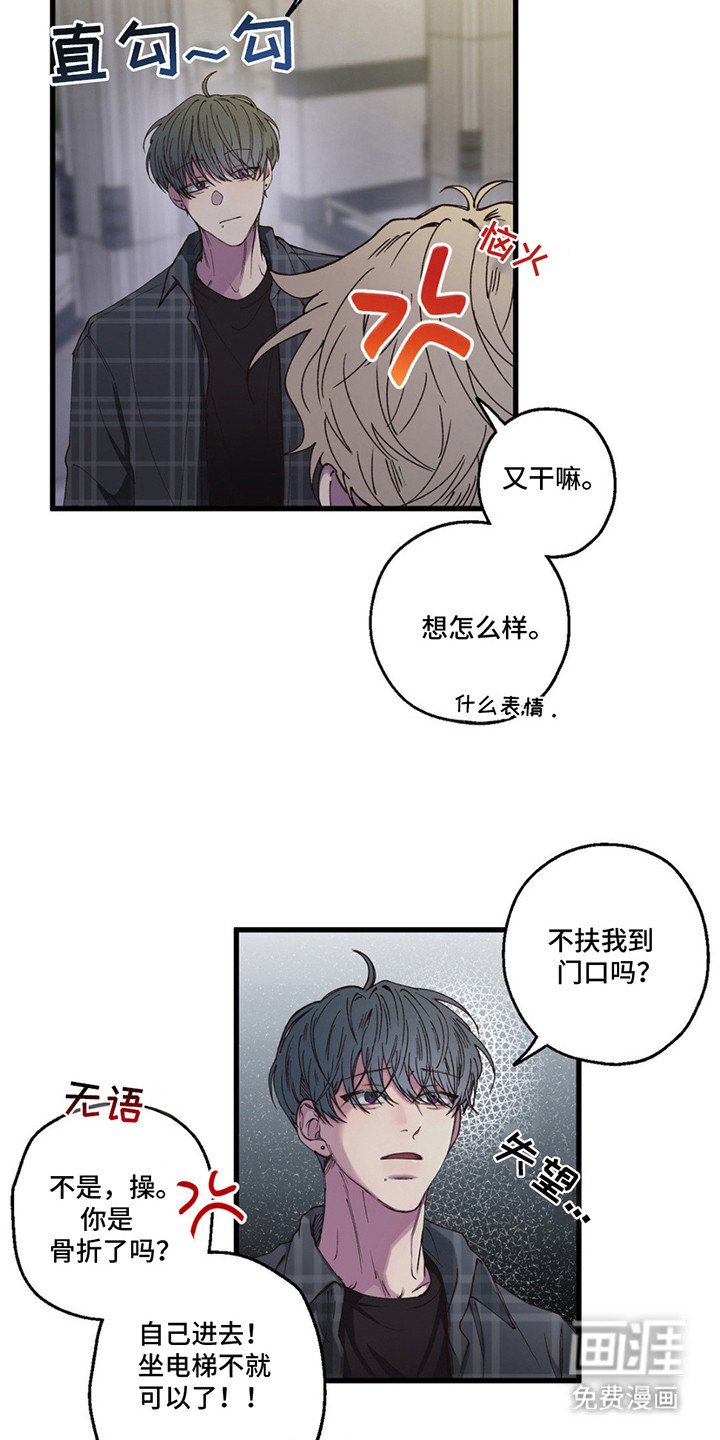 第14章：疯子