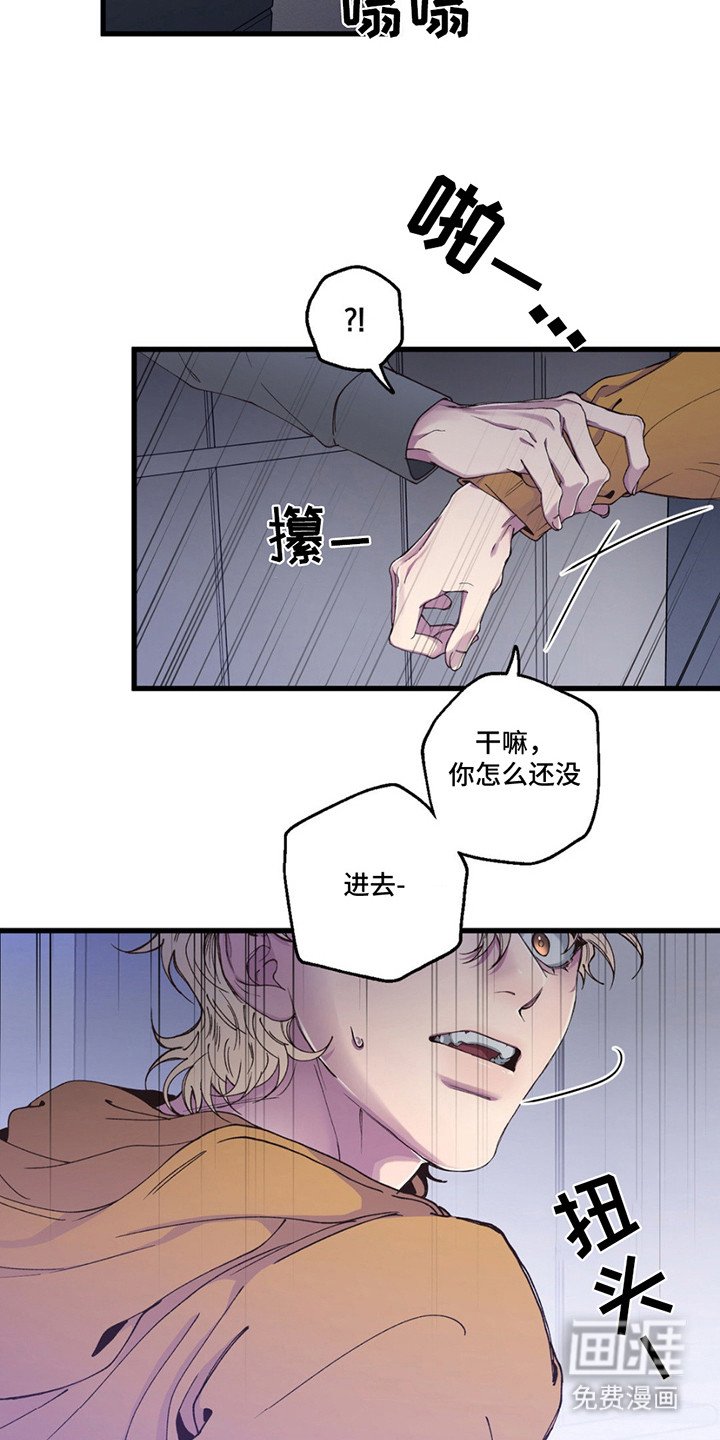 第14章：疯子