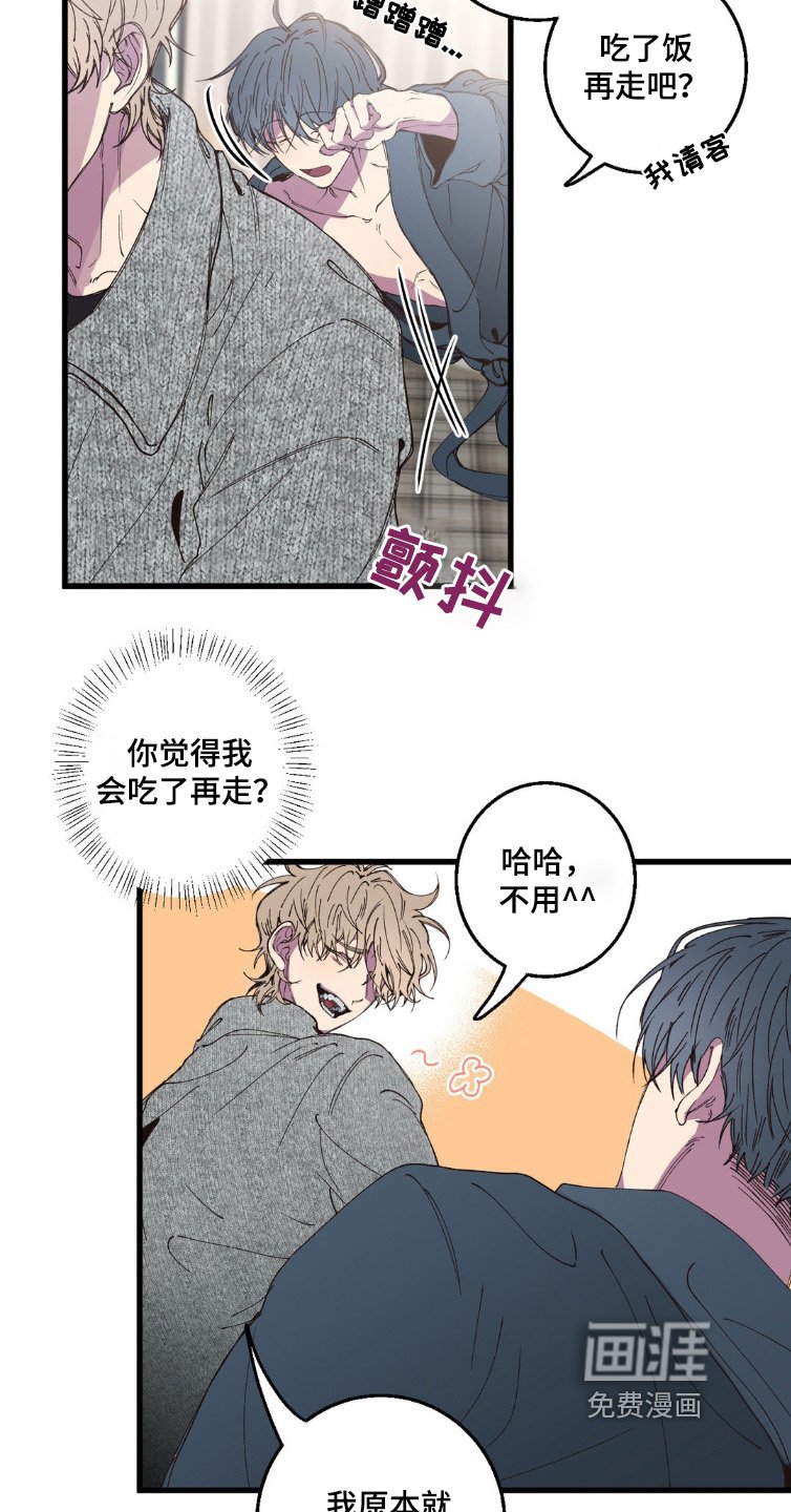 第19章：见面5次