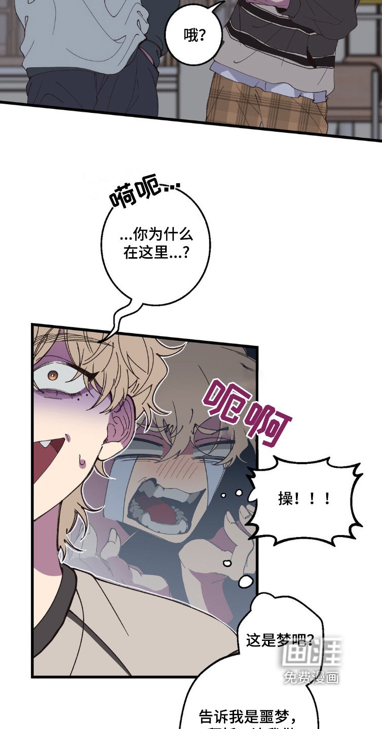 第19章：见面5次