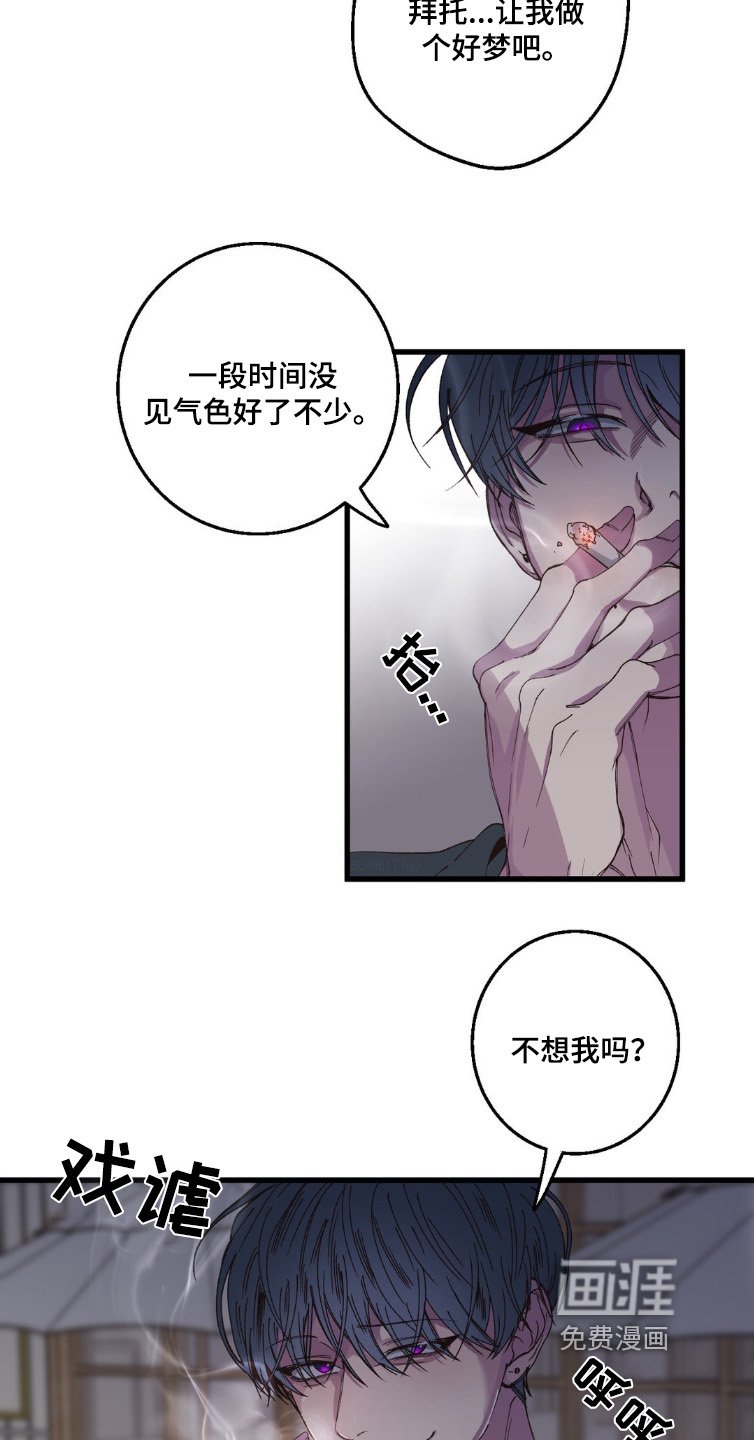 第19章：见面5次