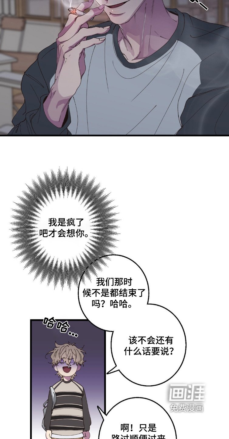 第19章：见面5次