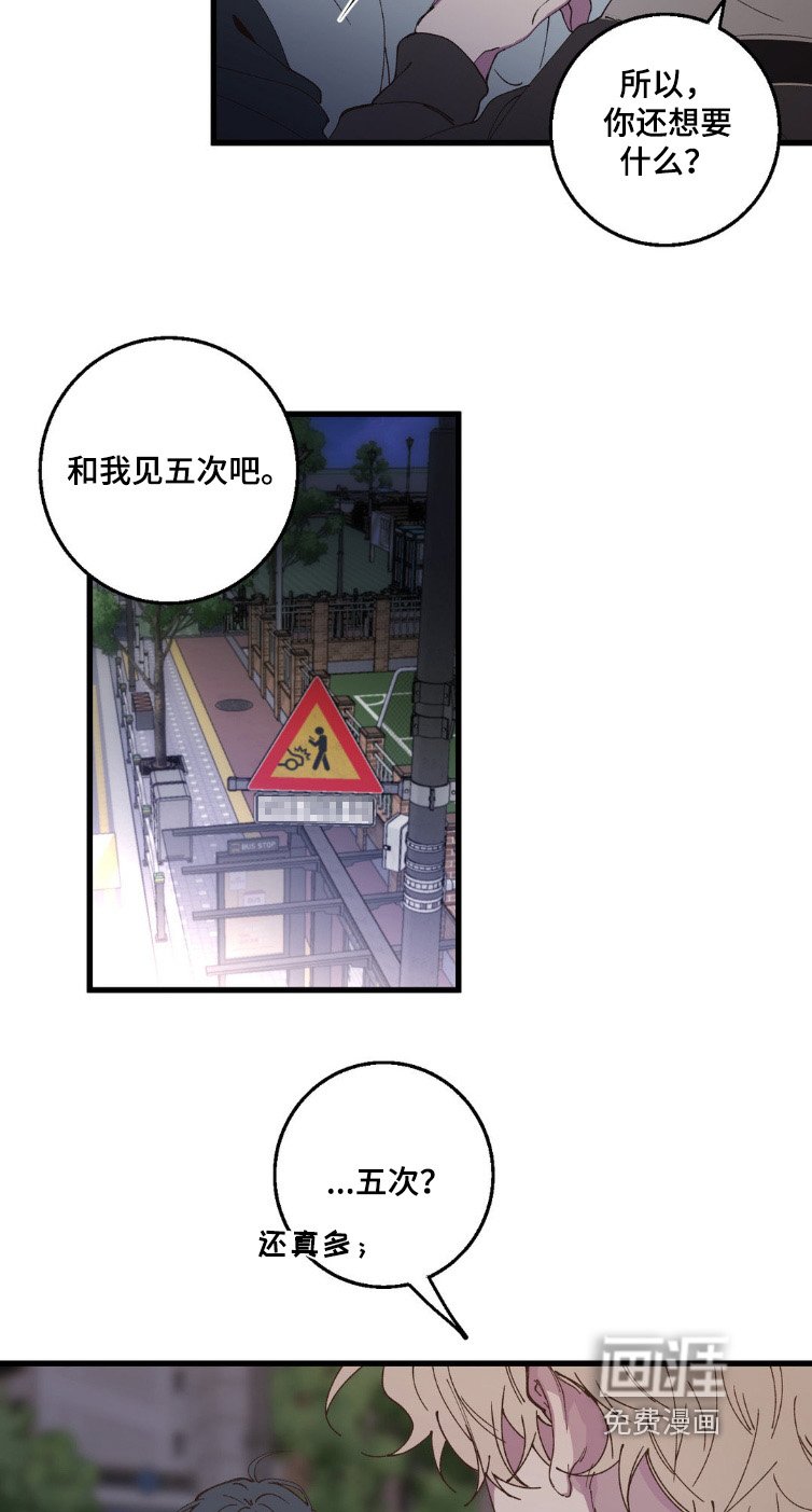 第19章：见面5次