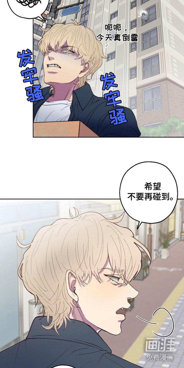 第3章：终于见面