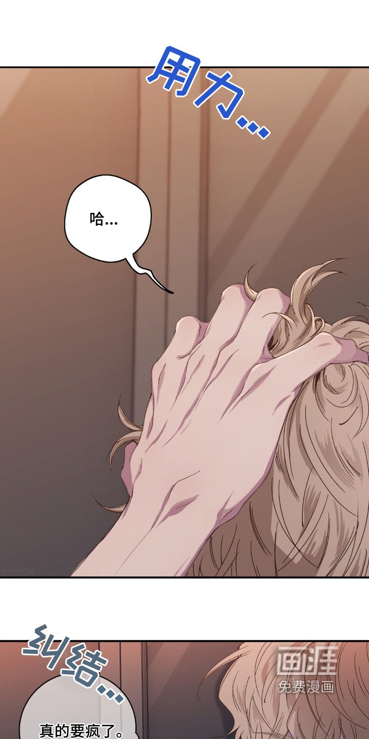 第32章：在联系