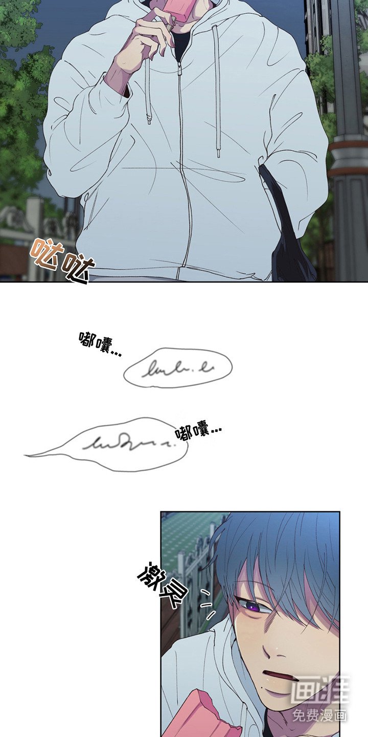 第5章：捡回家