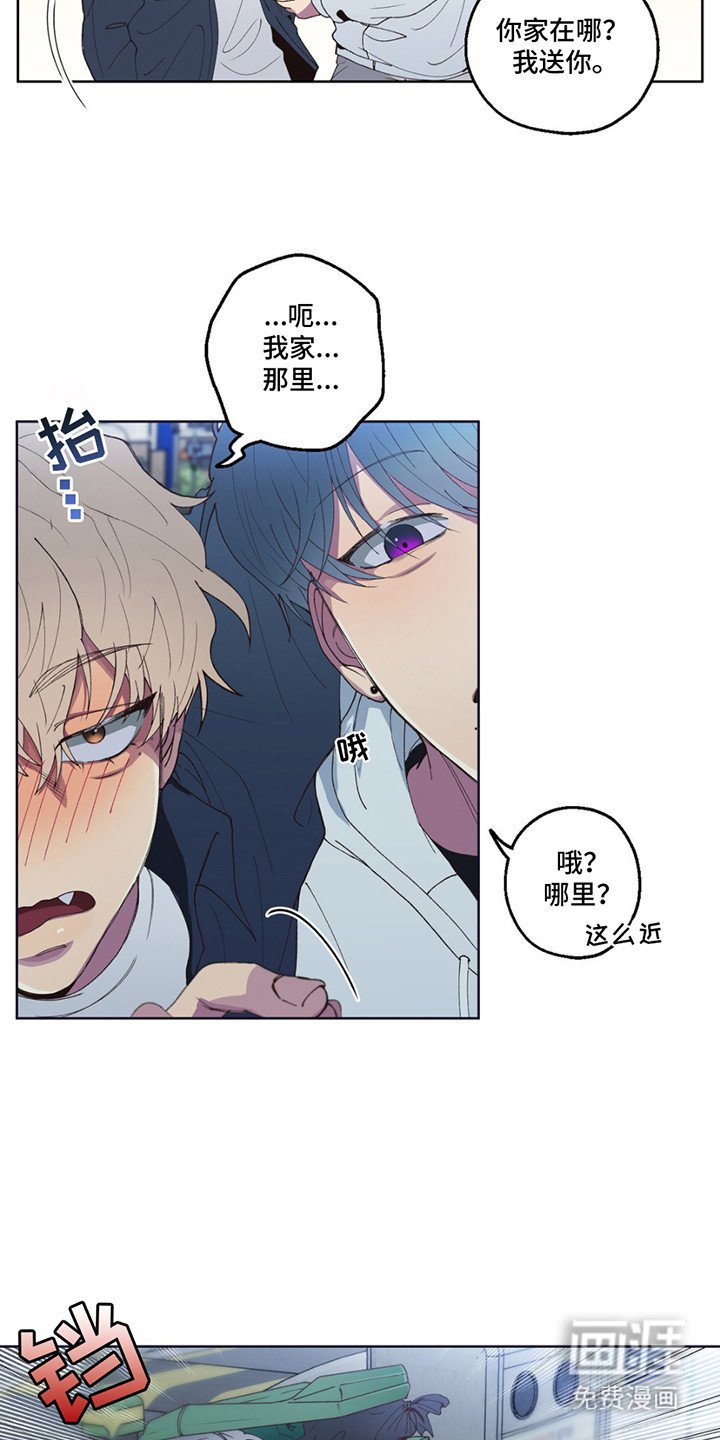 第5章：捡回家