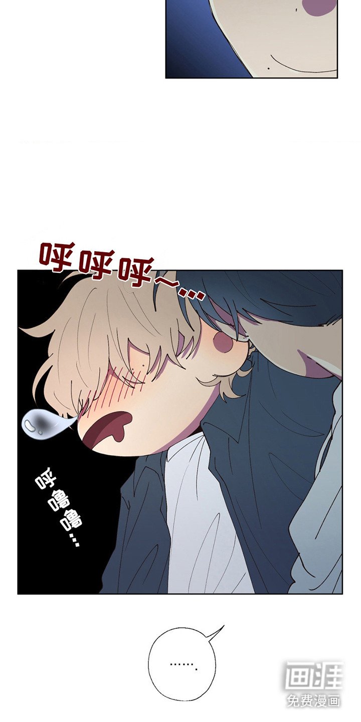第5章：捡回家