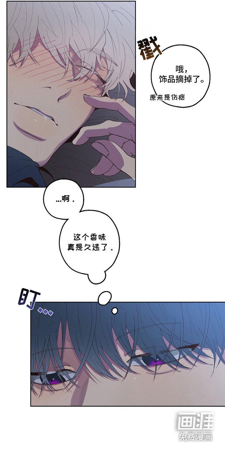 第5章：捡回家