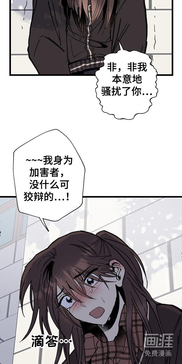 第10章：道歉