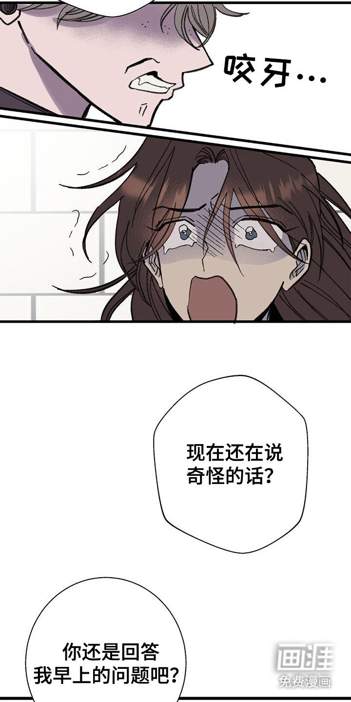 第10章：道歉