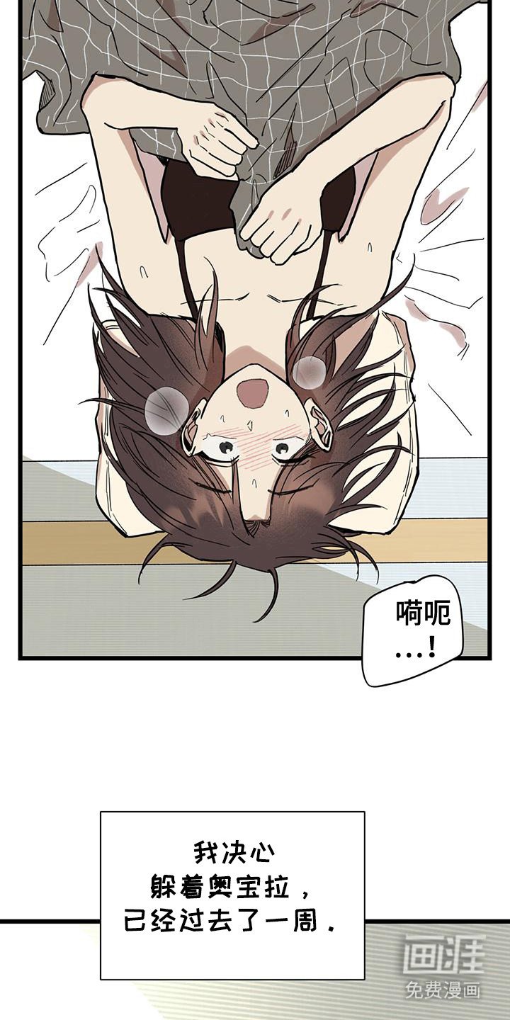 第13章：牵着鼻子走